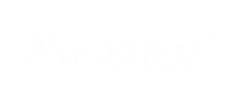 Creative Director