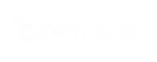 Creative Director